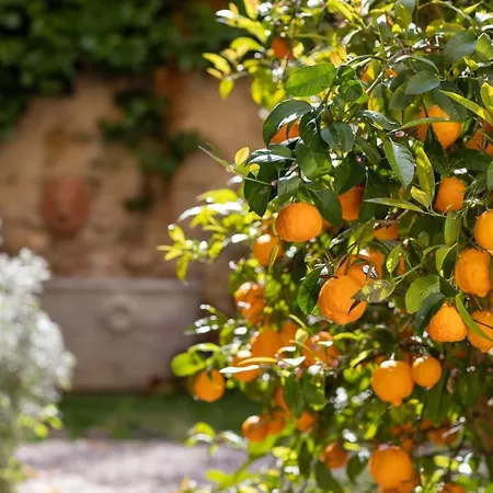 Secret Garden Couette-café Florence