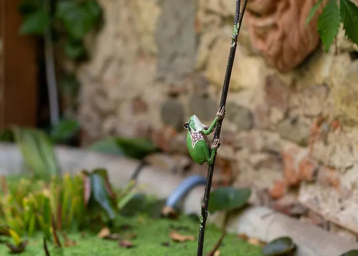 Secret Garden Bed and breakfast Florencia