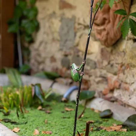 Secret Garden Bed and Breakfast Φλωρεντία