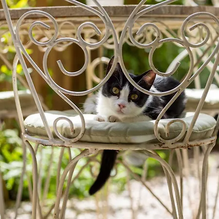 Secret Garden Φλωρεντία